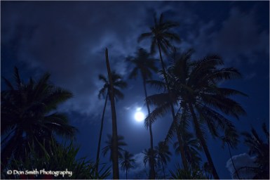 Full Moon Over Coconut Grove