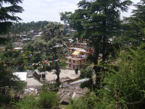 Stressed Out in McLeod&nbsp;Ganj