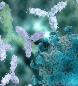 close-up-of-antibody