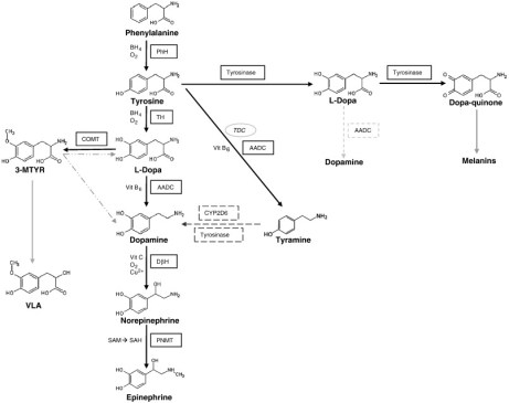 1-s2.0-S1096719210002994-gr1