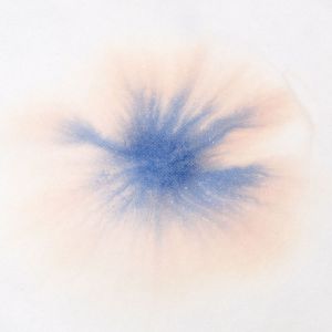 Is Memoir Writing&nbsp;Self-Indulgent?