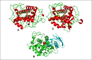 Albino – Seeing and Not Seeing&nbsp;2