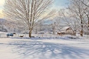 For the Love of Seasons – Geomagnetic Imprints and Natal&nbsp;Honing