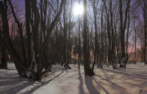 Affinity for Darkness –&nbsp;Prologue