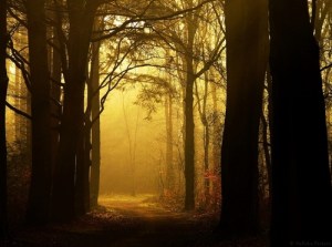 the_secret_passage_by_nelleke-d5eoh7j_large