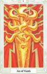tarot-toddimages