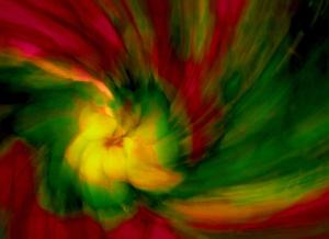 whirlwind-passion-neil-shapiro